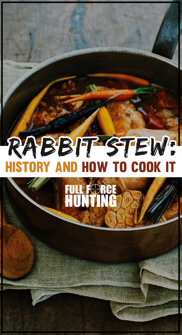 How to cook rabbit stew - pinterest graphic